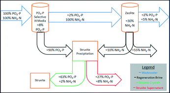 Graphical abstract: Ion exchange-precipitation for nutrient recovery from dilute wastewater