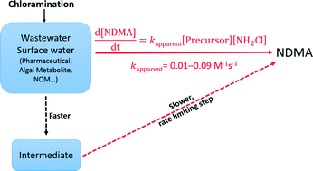 Graphical abstract: N-Nitrosamine formation kinetics in wastewater effluents and surface waters