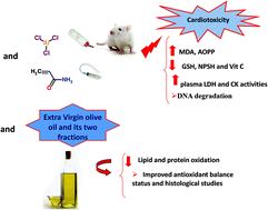 Graphical abstract: Effects of dietary extra virgin olive oil and its fractions on antioxidant status and DNA damage in the heart of rats co-exposed to aluminum and acrylamide