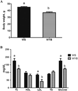 Graphical abstract: Yeast with bacteriocin from ruminal bacteria enhances glucose utilization, reduces ectopic fat accumulation, and alters cecal microbiota in dietary-induced obese mice