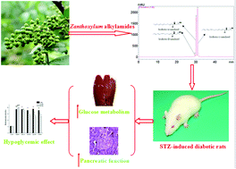 Graphical abstract: Hypoglycemic effects of Zanthoxylum alkylamides by enhancing glucose metabolism and ameliorating pancreatic dysfunction in streptozotocin-induced diabetic rats