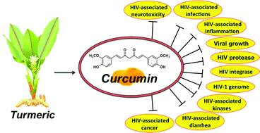 Graphical abstract: Curcumin and its analogues: a potential natural compound against HIV infection and AIDS