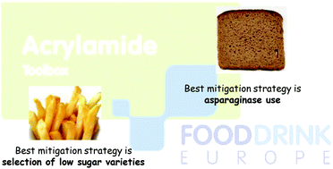 Graphical abstract: Acrylamide mitigation strategies: critical appraisal of the FoodDrinkEurope toolbox