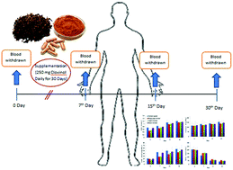 Graphical abstract: Beyond the flavour: a de-flavoured polyphenol rich extract of clove buds (Syzygium aromaticum L) as a novel dietary antioxidant ingredient