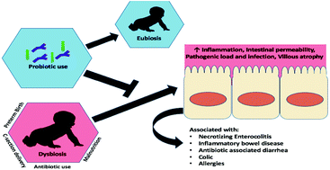 Graphical abstract: Probiotics in early life: a preventative and treatment approach