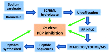 Graphical abstract: Isolation of prolyl endopeptidase inhibitory peptides from a sodium caseinate hydrolysate