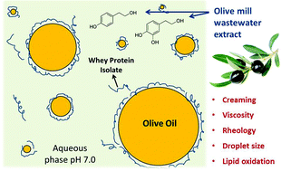 Graphical abstract: Physical and oxidative stability of functional olive oil-in-water emulsions formulated using olive mill wastewater biophenols and whey proteins