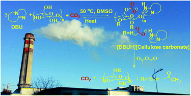 Graphical abstract: Activating cellulose via its reversible reaction with CO2 in the presence of 1,8-diazabicyclo[5.4.0]undec-7-ene for the efficient synthesis of cellulose acetate