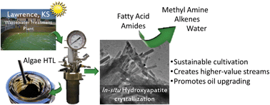Graphical abstract: Promoting catalysis and high-value product streams by in situ hydroxyapatite crystallization during hydrothermal liquefaction of microalgae cultivated with reclaimed nutrients
