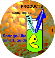 Graphical abstract: Sponge-like ionic liquids: a new platform for green biocatalytic chemical processes