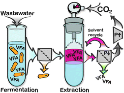 Graphical abstract: CO2-enhanced extraction of acetic acid from fermented wastewater