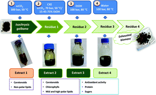 Graphical abstract: Downstream processing of Isochrysis galbana: a step towards microalgal biorefinery