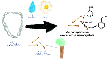 Graphical abstract: Reversing aggregation: direct synthesis of nanocatalysts from bulk metal. Cellulose nanocrystals as active support to access efficient hydrogenation silver nanocatalysts