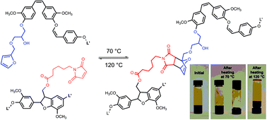 Graphical abstract: Reversible crosslinking of lignin via the furan–maleimide Diels–Alder reaction