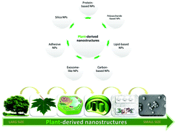 Graphical abstract: Plant-derived nanostructures: types and applications