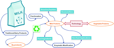 Graphical abstract: Retracted Article: Bigger data open innovation: potential applications of value-added products from milk and sustainable valorization of by-products from the dairy industry