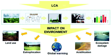 Graphical abstract: Bio-chemicals from lignocellulose feedstock: sustainability, LCA and the green conundrum