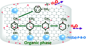 Graphical abstract: Preparation of hydrophobic reduced graphene oxide supported Ni-B-P-O and Co-B-P-O catalysts and their high hydrodeoxygenation activities