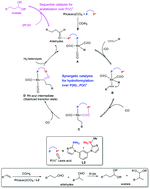 Graphical abstract: Co-catalysis of a bi-functional ligand containing phosphine and Lewis acidic phosphonium for hydroformylation–acetalization of olefins