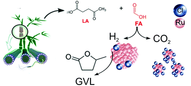 Graphical abstract: Ru catalysts for levulinic acid hydrogenation with formic acid as a hydrogen source