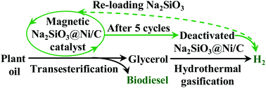 Graphical abstract: Production of biodiesel and hydrogen from plant oil catalyzed by magnetic carbon-supported nickel and sodium silicate