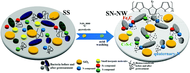 Graphical abstract: An efficient sewage sludge-derived bi-functional electrocatalyst for oxygen reduction and evolution reaction