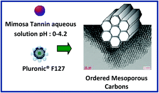 Graphical abstract: Easy and eco-friendly synthesis of ordered mesoporous carbons by self-assembly of tannin with a block copolymer