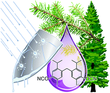 Graphical abstract: Sustainable hydrophobic thermosetting resins and polycarbonates from turpentine