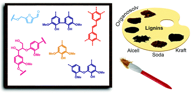 Graphical abstract: New insights into the structure and composition of technical lignins: a comparative characterisation study