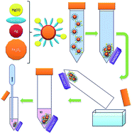 Graphical abstract: Determination of ultratraces of mercury species using separation with magnetic core-modified silver nanoparticles and electrothermal atomic absorption spectrometry