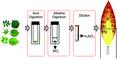 Graphical abstract: Microwave-assisted digestion using diluted acid and base solutions for plant analysis by ICP OES
