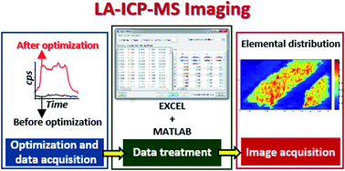 Graphical abstract: Laser ablation and inductively coupled plasma mass spectrometry focusing on bioimaging from elemental distribution using MatLab software: a practical guide