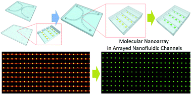Graphical abstract: Site-specific nanopatterning of functional metallic and molecular arbitrary features in nanofluidic channels