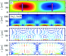Graphical abstract: Numerical study of acoustophoretic motion of particles in a PDMS microchannel driven by surface acoustic waves
