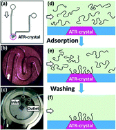 Graphical abstract: Microfluidic studies of polymer adsorption in flow