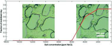 Graphical abstract: Functionalization of micromodels with kaolinite for investigation of low salinity oil-recovery processes