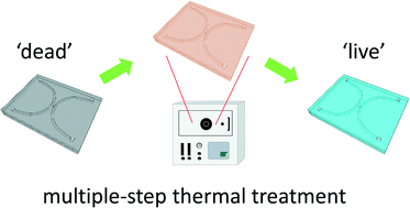 Graphical abstract: Regeneration of glass nanofluidic chips through a multiple-step sequential thermochemical decomposition process at high temperatures