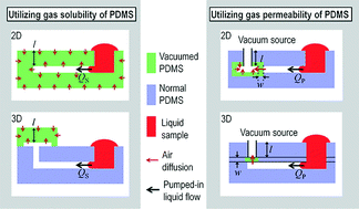 Graphical abstract: Vacuum-driven power-free microfluidics utilizing the gas solubility or permeability of polydimethylsiloxane (PDMS)