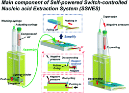 Graphical abstract: Self-powered switch-controlled nucleic acid extraction system