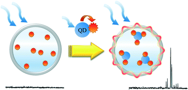 Graphical abstract: Optofluidic FRET lasers using aqueous quantum dots as donors