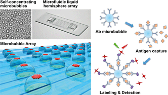 Graphical abstract: Self-concentrating buoyant glass microbubbles for high sensitivity immunoassays