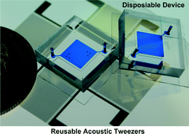 Graphical abstract: Reusable acoustic tweezers for disposable devices