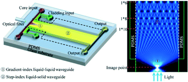 Graphical abstract: Tunable self-imaging effect using hybrid optofluidic waveguides
