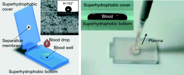 Graphical abstract: A high-efficiency superhydrophobic plasma separator