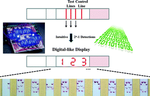 Graphical abstract: Multiplex lateral flow detection and binary encoding enables a molecular colorimetric 7-segment display