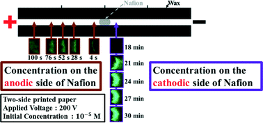 Graphical abstract: Sample pre-concentration with high enrichment factors at a fixed location in paper-based microfluidic devices