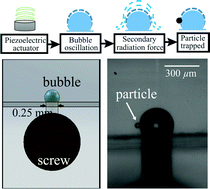 Graphical abstract: Onset of particle trapping and release via acoustic bubbles
