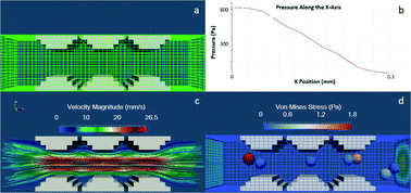 Graphical abstract: Geometric effects in microfluidics on heterogeneous cell stress using an Eulerian–Lagrangian approach