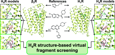 Graphical abstract: Structure-based virtual screening for fragment-like ligands of the G protein-coupled histamine H4 receptor