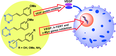 Graphical abstract: Inhibitory effect of cytotoxic nitrogen-containing heterocyclic stilbene analogues on VEGF protein secretion and VEGF, hTERT and c-Myc gene expression